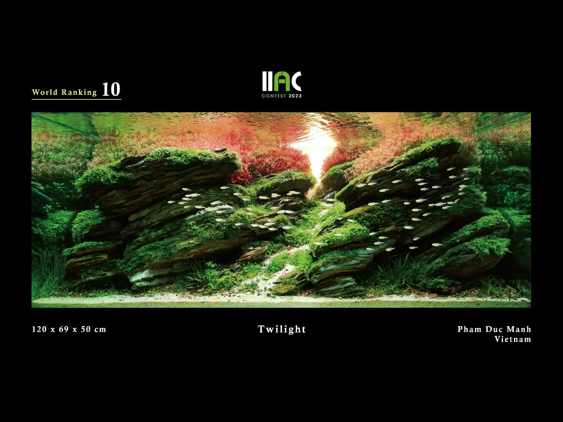 Twilight - IIAC 2023 #10 Pham Duc Manh / Vietnam